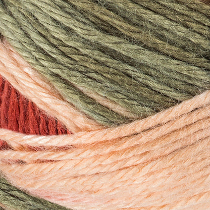Red Heart Soft Yarn Garden