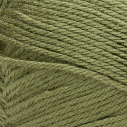 Red Heart Soft Yarn (283g/10oz) - Clearance Shades Leaf