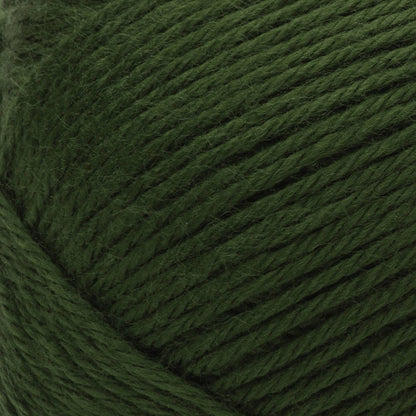 Red Heart Soft Yarn (283g/10oz) - Clearance Shades Dark Leaf