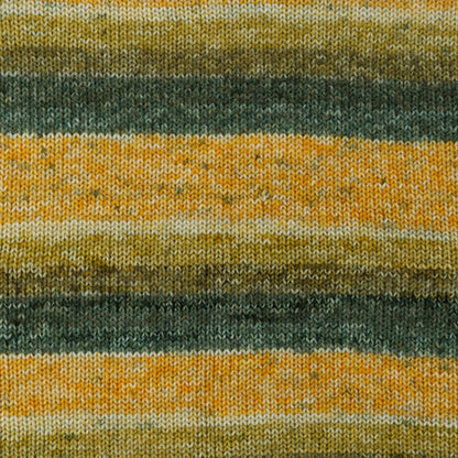 Red Heart Super Saver Bitty Stripes Yarn Cactus