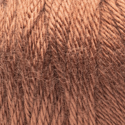 Caron Simply Soft Yarn Sienna