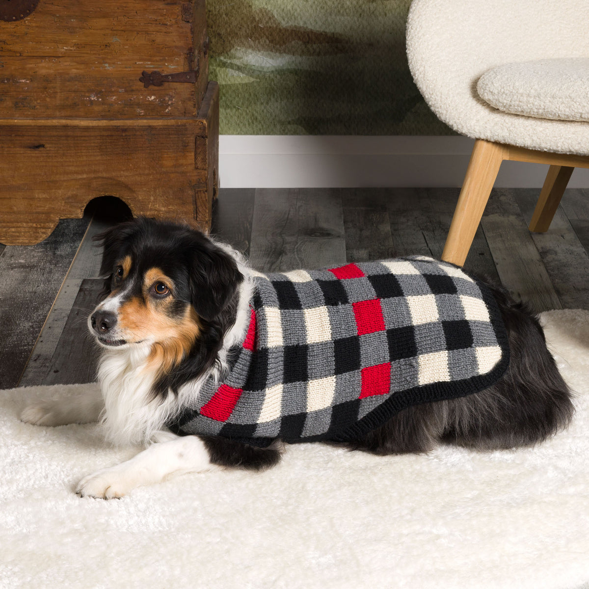 Knit Canine Checks made using Patons yarn