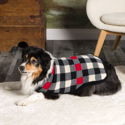 Patons Knit Canine Checks Knit Canine Checks made using Patons yarn