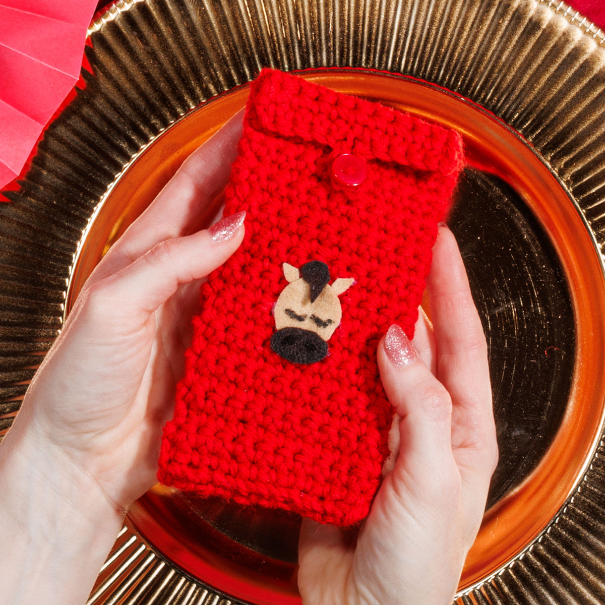 New Years Animals Crochet Envelope made using Red Heart yarn