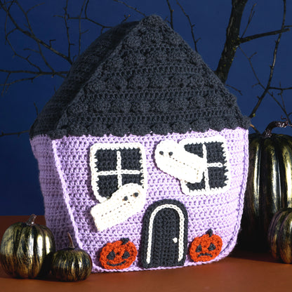 Red Heart Creepy Cutie Crochet House Pillow Creepy Cutie Crochet House Pillow made using Red Heart yarn