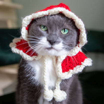 Red Heart Super Saver Crochet Santa Paws Hooded Cape Crochet Cape made in Red Heart Super Saver Yarn
