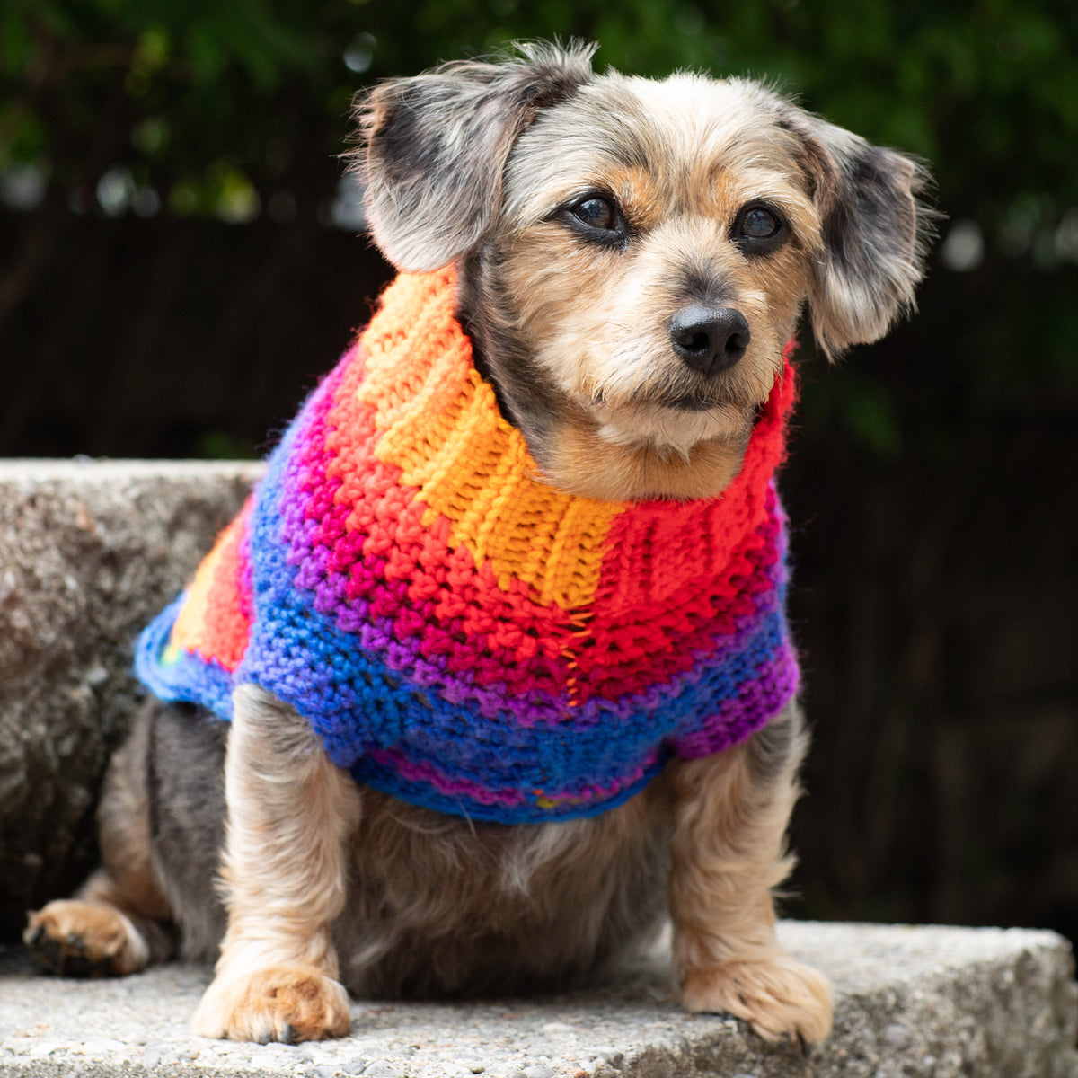 Crochet Sweater made in Red Heart Super Saver Yarn