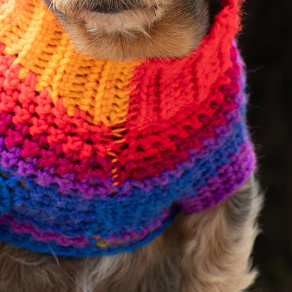 Red Heart Pup's Favorite Crochet Sweater Crochet Sweater made in Red Heart Super Saver Yarn