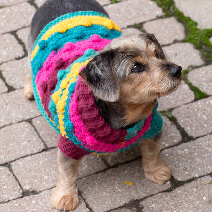 Red Heart Bits & Bobbles Crochet Dog Sweater Crochet Sweater made in Red Heart Super Saver Yarn