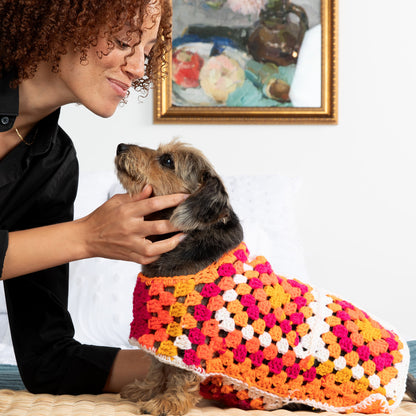 Red Heart Crochet Great Granny Dog Sweater Crochet Sweater made in Red Heart All in One Granny Square Yarn