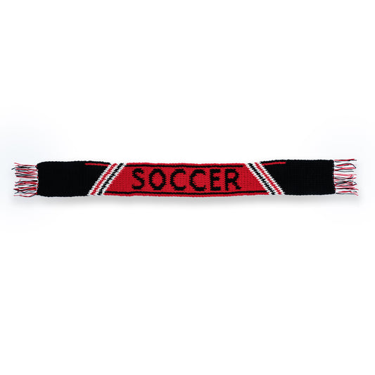 Team Pride Crochet Scarf made using Red Heart yarn