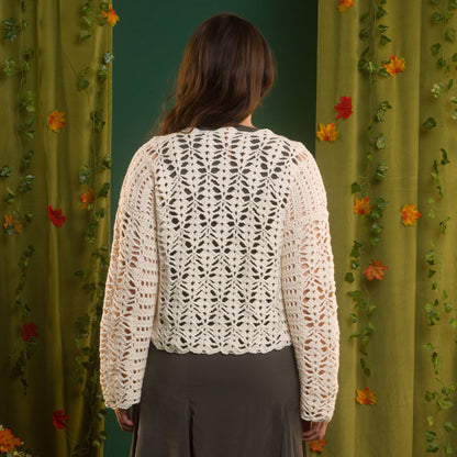 Red Heart Crochet Climbing Vines Lace Top Crochet Climbing Vines Lace Top made using Red Heart yarn
