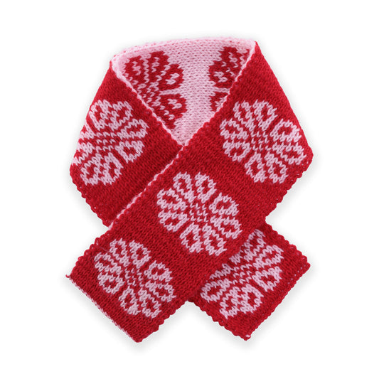 Red Heart Garden Bloom Double Knit Scarfette