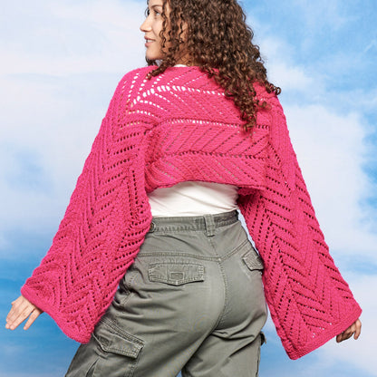 Red Heart Sunray Panels Knit Shrug Knit Shrug made in Red Heart Yarn
