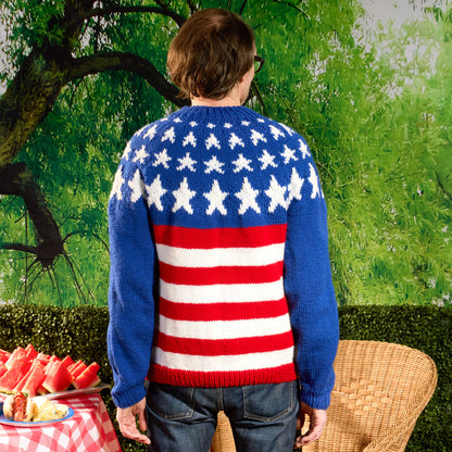 Red Heart Years of History Knit United Pullover Years Of History Knit United Pullover made using Red Heart yarn in a styled lifestyle setting