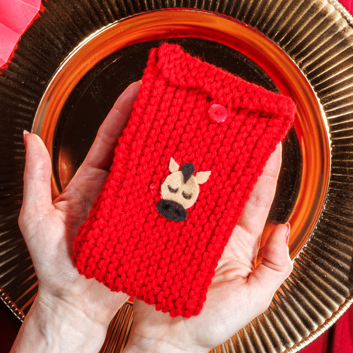 New Years Animals Knit Envelope made using Red Heart yarn