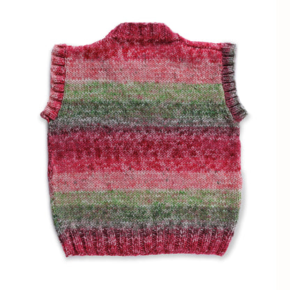 Red Heart Vest Day Ever Knit Vest Vest Day Ever Knit Vest made using Red Heart yarn