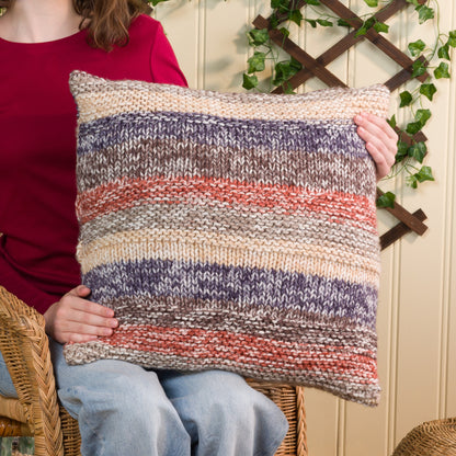Red Heart Stripes on Stripes Knit Pillow Red Heart Stripes on Stripes Knit Pillow