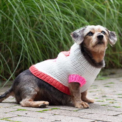Red Heart Puppy Love Knit Sweater Knit Sweater made in Red Heart Super Saver Yarn