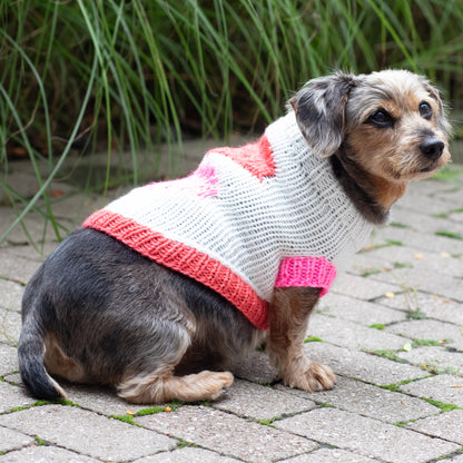 Red Heart Puppy Love Knit Sweater Knit Sweater made in Red Heart Super Saver Yarn