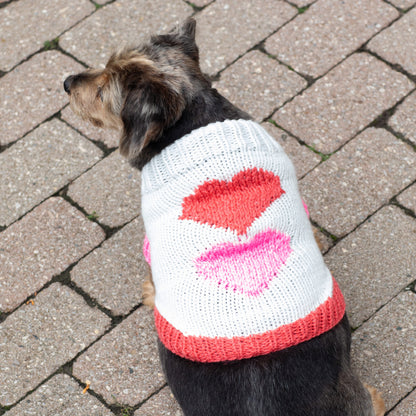 Red Heart Puppy Love Knit Sweater Knit Sweater made in Red Heart Super Saver Yarn