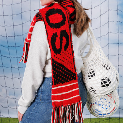 Red Heart Team Pride Knit Scarf Team Pride Knit Scarf made using Red Heart yarn