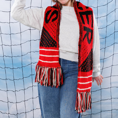 Red Heart Team Pride Knit Scarf Team Pride Knit Scarf made using Red Heart yarn