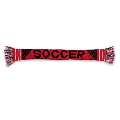 Red Heart Team Pride Knit Scarf Team Pride Knit Scarf made using Red Heart yarn