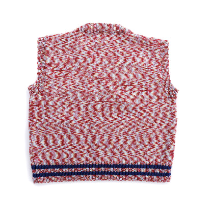 Red Heart Duplicate Stitches in Bloom Knit Vest Duplicate Stitches In Bloom Knit Vest made using Red Heart yarn