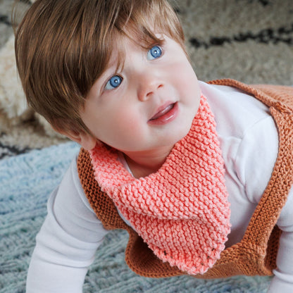 Lily Sugar'n Cream Knit Dribble Bib Tea Rose