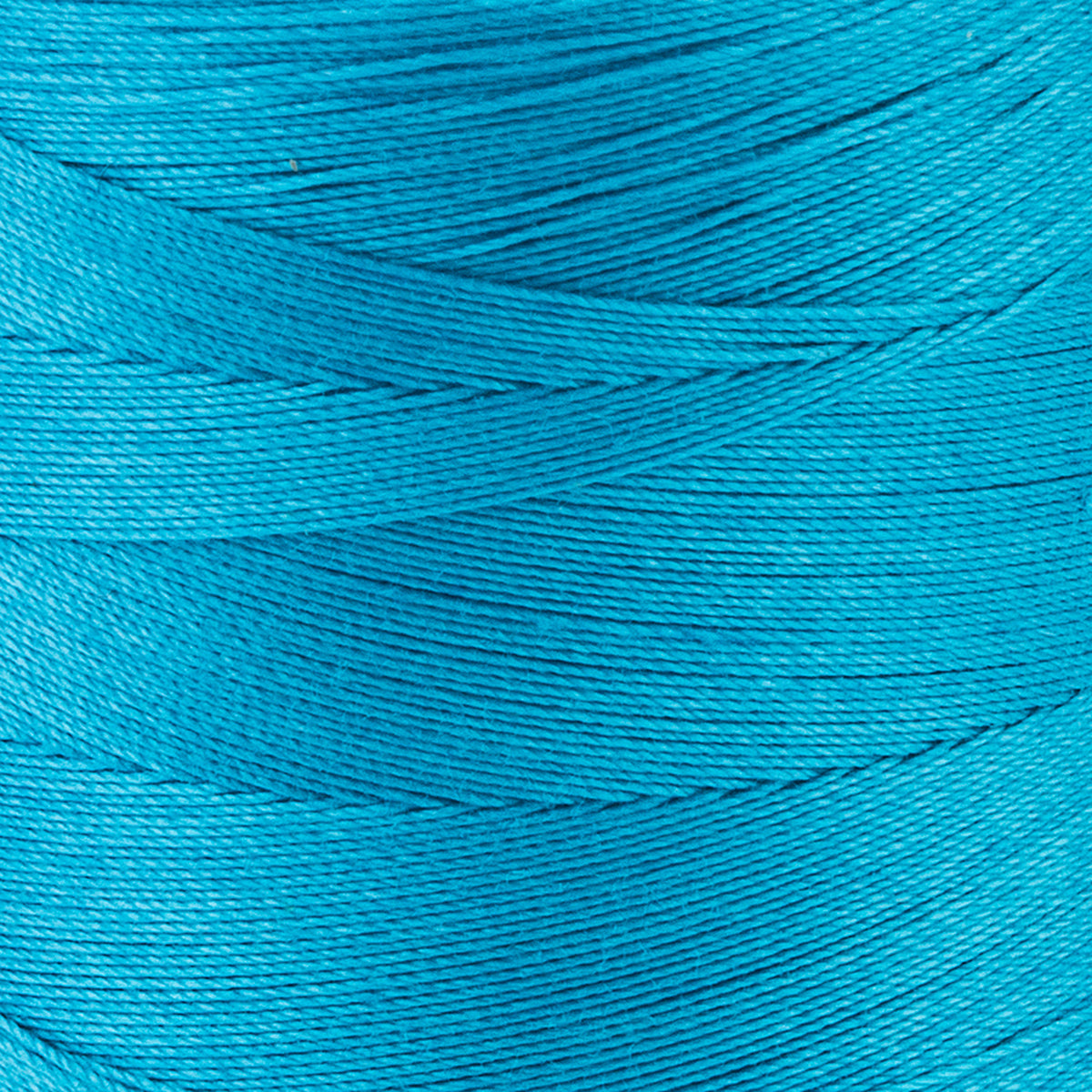 Parrot blue