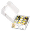 Neutral Colors