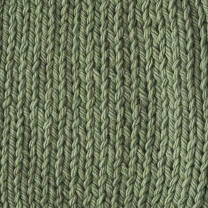 Lily Sugar'n Cream The Original Yarn Sage Green