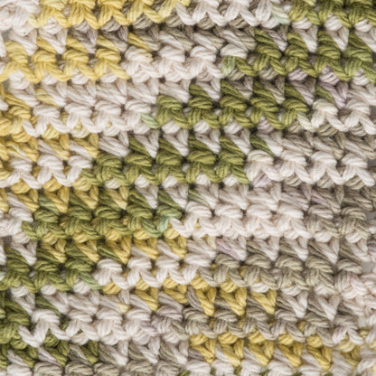Lily Sugar'n Cream Ombres Yarn Guacamole