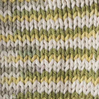 Lily Sugar'n Cream Ombres Yarn Guacamole