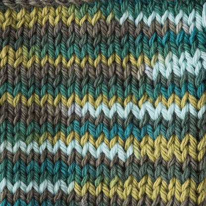 Lily Sugar'n Cream Ombres Yarn Rickrack Ombre