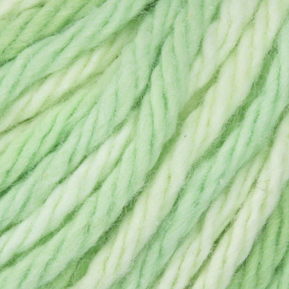 Lily Sugar'n Cream Super Size Scents Yarn - Discontinued Shades Aloe Vera