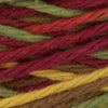 Autumn Leaves Ombre