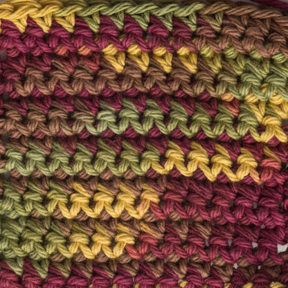 Lily Sugar'n Cream Cone Yarn (400g/14oz) Autumn Leaves Ombre