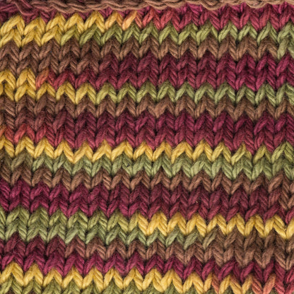 Lily Sugar'n Cream Cone Yarn (400g/14oz) Autumn Leaves Ombre