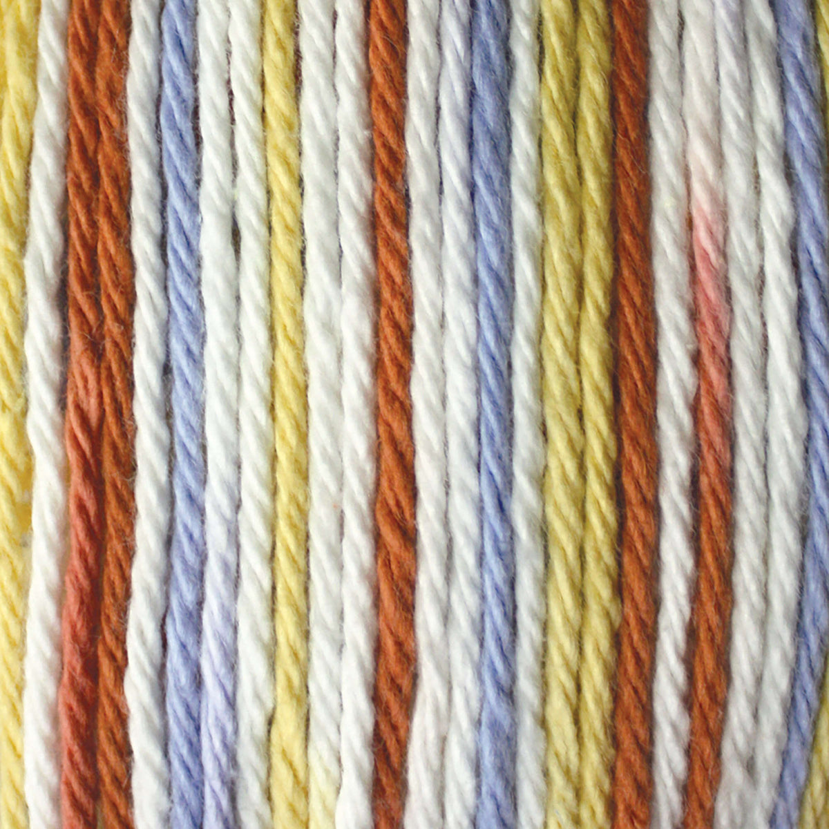 Calico