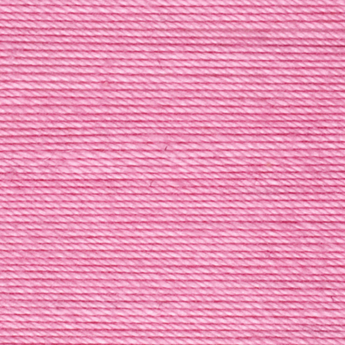 French Rose
