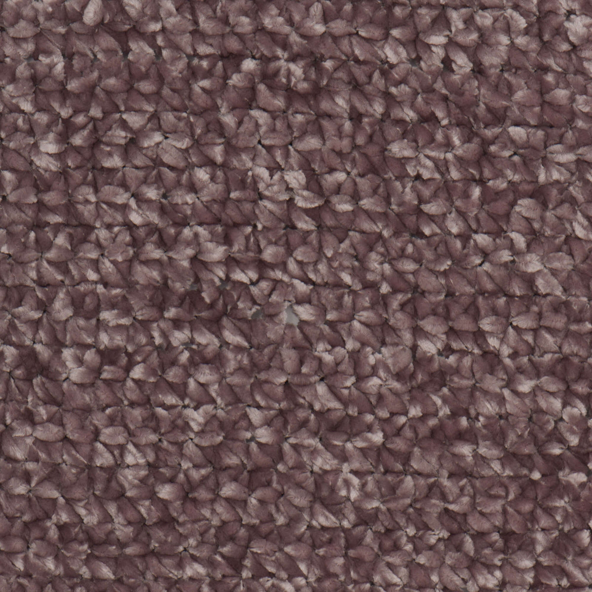 Shadow Purple