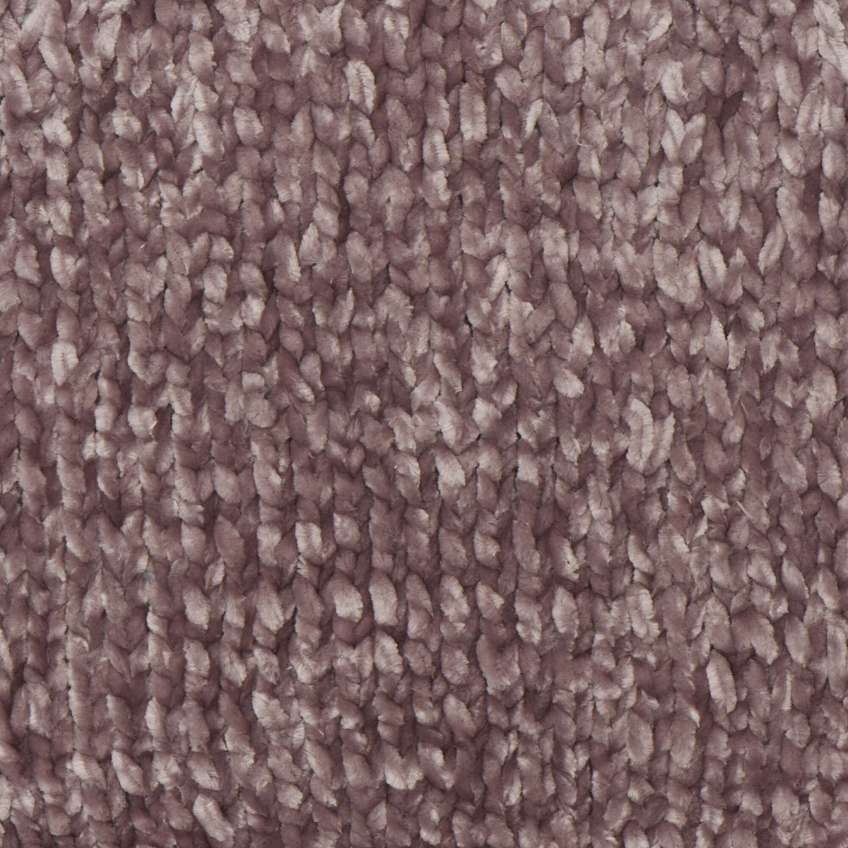 Shadow Purple