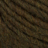 Lichen