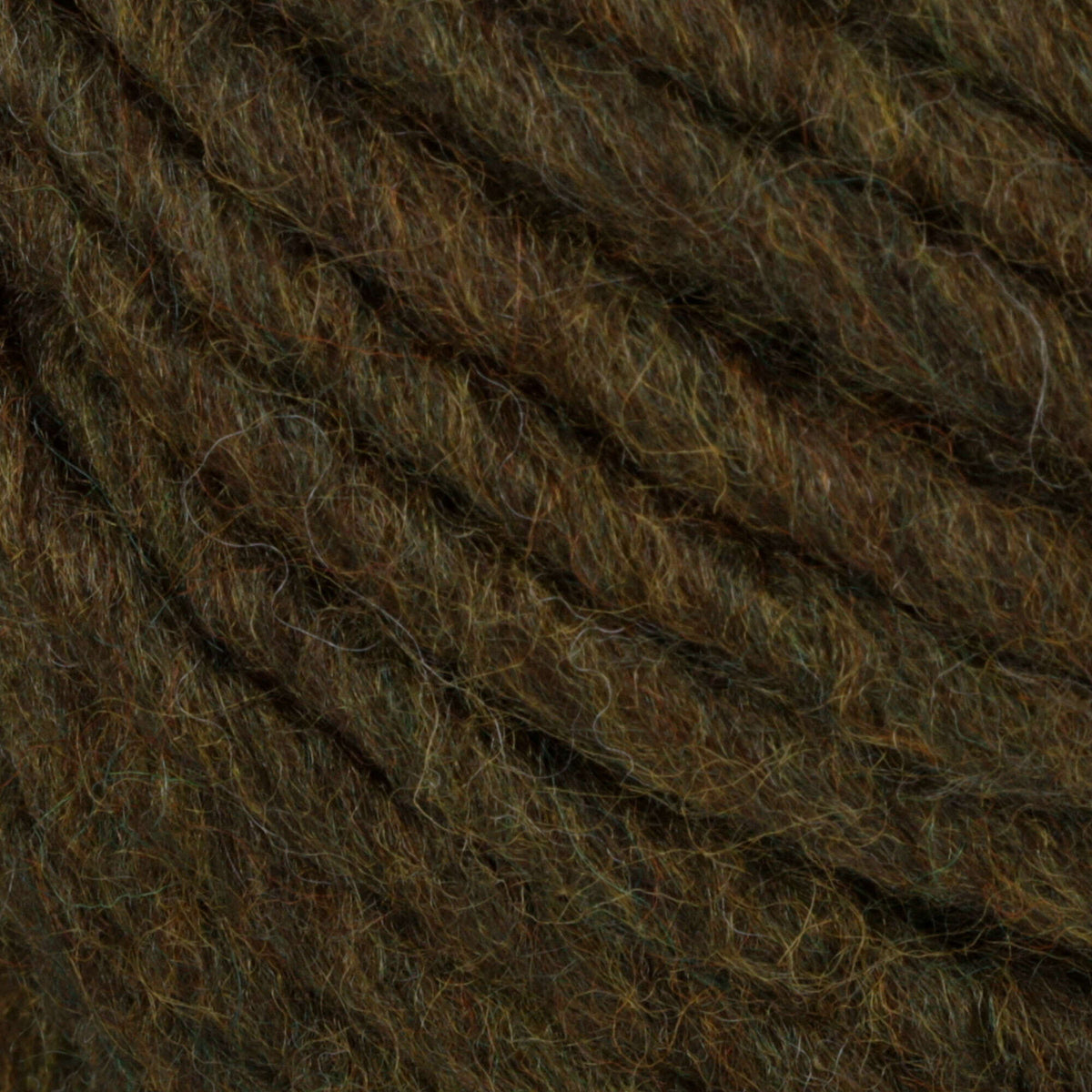 Lichen