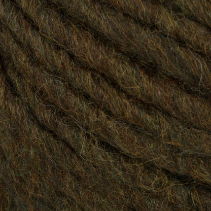 Bernat Roving Yarn - Discontinued Shades Lichen