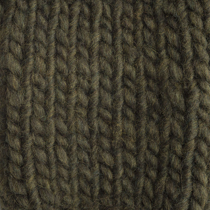 Bernat Roving Yarn - Discontinued Shades Lichen
