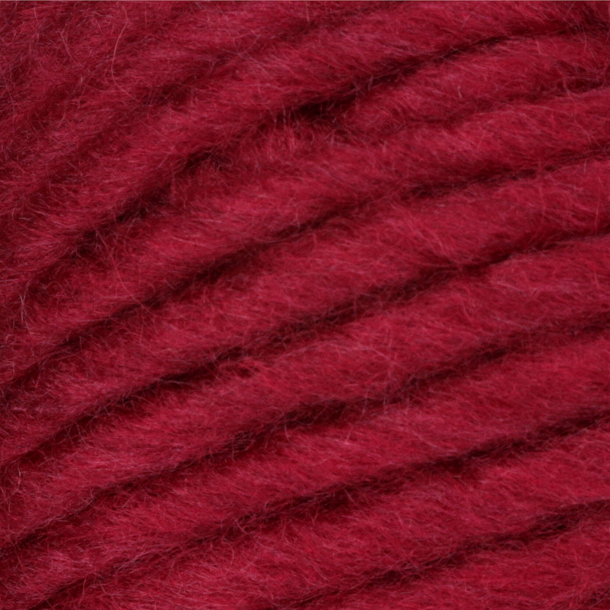 Raspberry