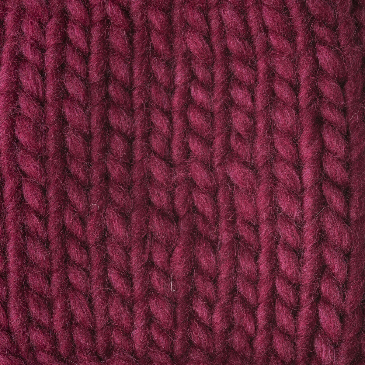 Raspberry